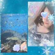 ヒメ日記 2025/11/22 07:52 投稿 佐藤瑞希 五十路マダム宇都宮店(カサブランカグループ)