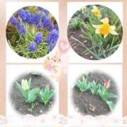 ヒメ日記 2026/03/26 20:34 投稿 佐藤瑞希 五十路マダム宇都宮店(カサブランカグループ)