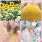ヒメ日記 2026/08/24 20:54 投稿 佐藤瑞希 五十路マダム宇都宮店(カサブランカグループ)