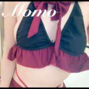 ヒメ日記 2024/12/12 13:01 投稿 もも 静岡ハンパじゃない伝説