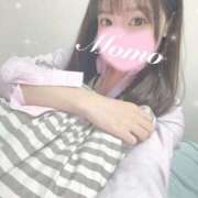 ヒメ日記 2024/12/17 14:21 投稿 もも 静岡ハンパじゃない伝説