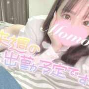 ヒメ日記 2025/01/24 15:41 投稿 もも 静岡ハンパじゃない伝説