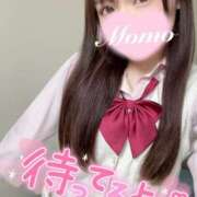 ヒメ日記 2025/05/19 14:13 投稿 もも 静岡ハンパじゃない伝説