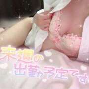 ヒメ日記 2025/11/07 18:02 投稿 もも 静岡ハンパじゃない伝説