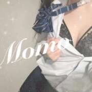 ヒメ日記 2025/11/13 12:31 投稿 もも 静岡ハンパじゃない伝説