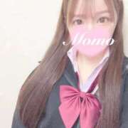 ヒメ日記 2026/01/12 16:41 投稿 もも 静岡ハンパじゃない伝説