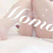 ヒメ日記 2026/01/16 15:11 投稿 もも 静岡ハンパじゃない伝説