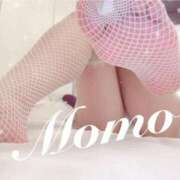 ヒメ日記 2026/02/23 21:11 投稿 もも 静岡ハンパじゃない伝説