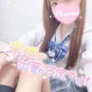 ヒメ日記 2026/03/07 19:21 投稿 もも 静岡ハンパじゃない伝説