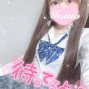 ヒメ日記 2026/03/17 14:53 投稿 もも 静岡ハンパじゃない伝説