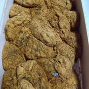 ヒメ日記 2025/12/18 09:00 投稿 片野 熟らぶ