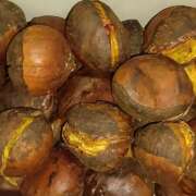 ヒメ日記 2026/01/20 11:03 投稿 片野 熟らぶ