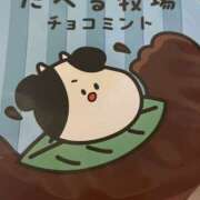 ヒメ日記 2025/06/24 12:15 投稿 相田 熟らぶ