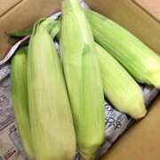 ヒメ日記 2025/07/18 10:37 投稿 相田 熟らぶ