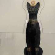 ヒメ日記 2026/03/18 11:04 投稿 相田 熟らぶ