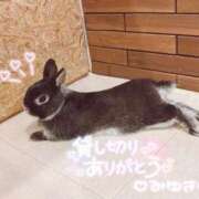 ヒメ日記 2025/05/05 23:04 投稿 みゆき コスパラ(梅田)