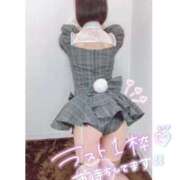 ヒメ日記 2025/08/13 19:00 投稿 みゆき コスパラ(梅田)