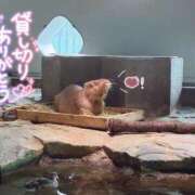 ヒメ日記 2025/09/15 21:45 投稿 みゆき コスパラ(梅田)