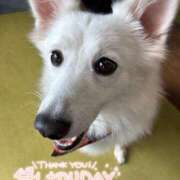 ヒメ日記 2025/10/15 19:02 投稿 みゆき コスパラ(梅田)