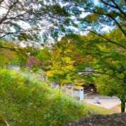 ヒメ日記 2025/11/10 16:57 投稿 れいな One More奥様　厚木店