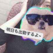 ヒメ日記 2025/01/29 18:41 投稿 ことね チェックイン素人専門大人女子