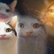 ヒメ日記 2025/04/28 00:59 投稿 ことね チェックイン素人専門大人女子