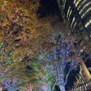 はなび 先週ありがとう！＆12月の予定少し ビデオDEはんど 名古屋校