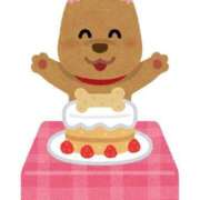 ヒメ日記 2025/12/19 19:01 投稿 はなび ビデオDEはんど 名古屋校