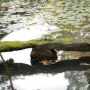 ヒメ日記 2024/12/11 17:45 投稿 舞(まい) ロケットワイフ