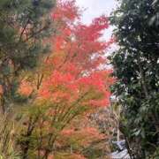 ヒメ日記 2024/12/12 15:11 投稿 舞(まい) ロケットワイフ