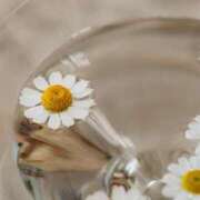 ヒメ日記 2024/12/18 12:32 投稿 舞(まい) ロケットワイフ