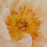 ヒメ日記 2024/12/20 14:42 投稿 舞(まい) ロケットワイフ