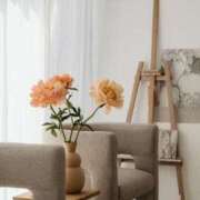 ヒメ日記 2024/12/20 16:31 投稿 舞(まい) ロケットワイフ