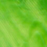 ヒメ日記 2024/12/22 07:34 投稿 舞(まい) ロケットワイフ