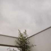 ヒメ日記 2024/12/31 07:34 投稿 舞(まい) ロケットワイフ