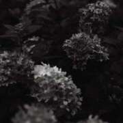 ヒメ日記 2025/01/03 22:10 投稿 舞(まい) ロケットワイフ