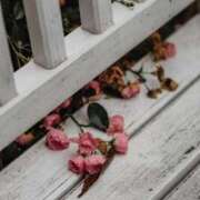 ヒメ日記 2025/01/05 08:03 投稿 舞(まい) ロケットワイフ