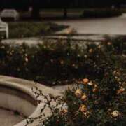 ヒメ日記 2025/01/06 12:23 投稿 舞(まい) ロケットワイフ