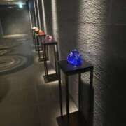 ヒメ日記 2025/01/14 08:18 投稿 舞(まい) ロケットワイフ