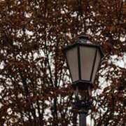 ヒメ日記 2025/01/15 07:15 投稿 舞(まい) ロケットワイフ