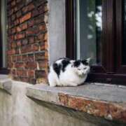 ヒメ日記 2025/01/19 08:13 投稿 舞(まい) ロケットワイフ