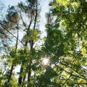 ヒメ日記 2025/01/20 16:38 投稿 舞(まい) ロケットワイフ