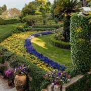 ヒメ日記 2025/01/21 21:59 投稿 舞(まい) ロケットワイフ