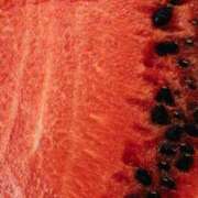 ヒメ日記 2025/01/22 22:12 投稿 舞(まい) ロケットワイフ