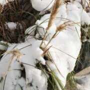 ヒメ日記 2025/02/04 07:44 投稿 舞(まい) ロケットワイフ