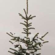 ヒメ日記 2025/02/04 12:26 投稿 舞(まい) ロケットワイフ