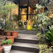 ヒメ日記 2025/02/06 12:25 投稿 舞(まい) ロケットワイフ