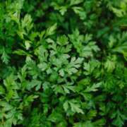 ヒメ日記 2025/03/12 16:45 投稿 舞(まい) ロケットワイフ