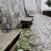 ヒメ日記 2025/03/14 12:32 投稿 舞(まい) ロケットワイフ