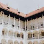 ヒメ日記 2025/03/16 21:02 投稿 舞(まい) ロケットワイフ